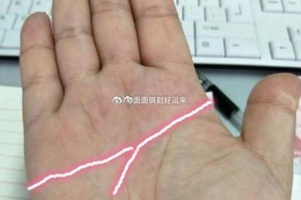 《手相学习百科》：手纹看退休