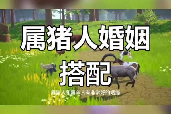 属猪的婚姻配对最佳 属猪的婚配宜忌 属猪的婚姻配对最佳 属猪的婚配宜忌