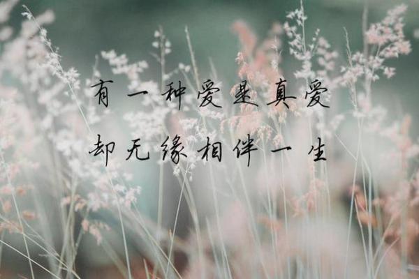 啥血型情侣一生无缘 啥血型情侣一生无缘