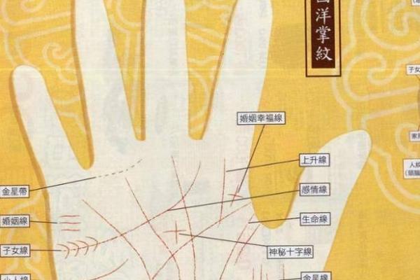 《手相学习百科》：拇指