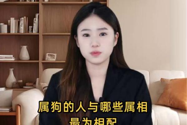 生肖配对：属狗的和什么属相最配