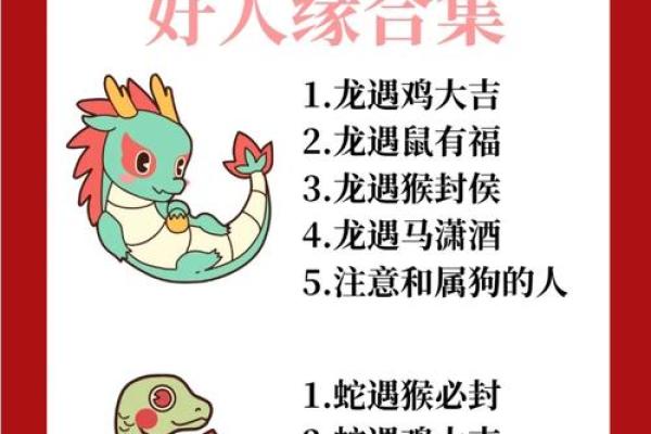 婚姻配对属龙和属猪姻缘怎么样