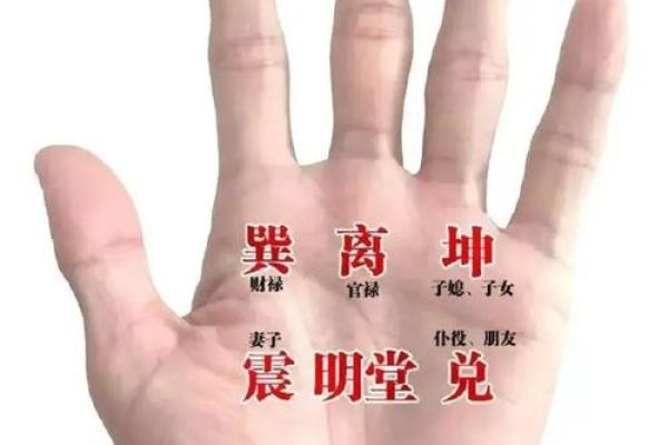 《手相学习百科》：掌脊纹