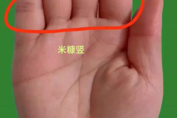 《手相学习百科》：掌脊纹