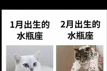 哪些星座不能和水瓶座配
