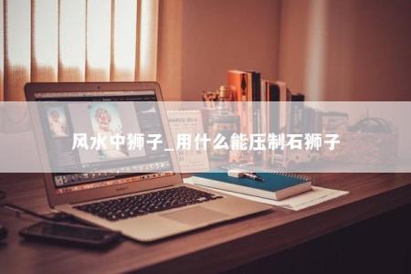 风水中狮子_用什么能压制石狮子