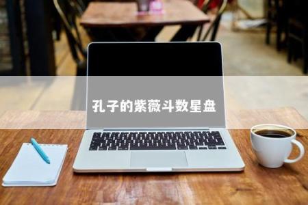 孔子的紫薇斗数星盘