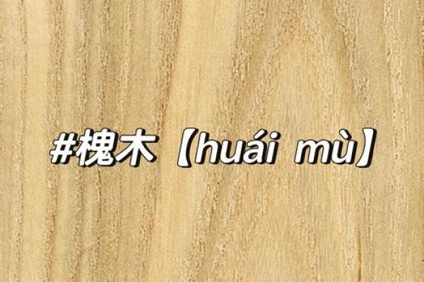 槐木 风水