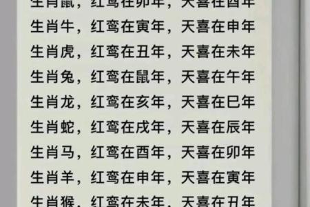 八字命宫作用