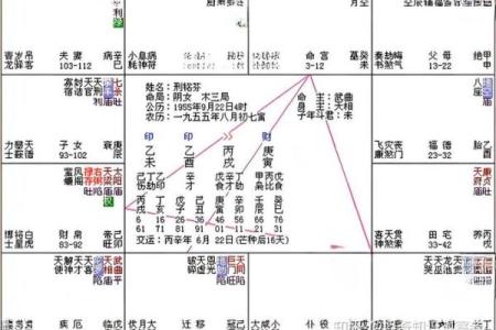 紫微斗数下世 紫微斗数!？
