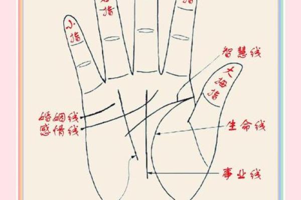 《手相学习百科》：双手之间的差异