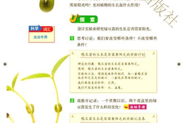 “茁壮成长，茎叶交辉，绿意盎然——草本植物百科全书”