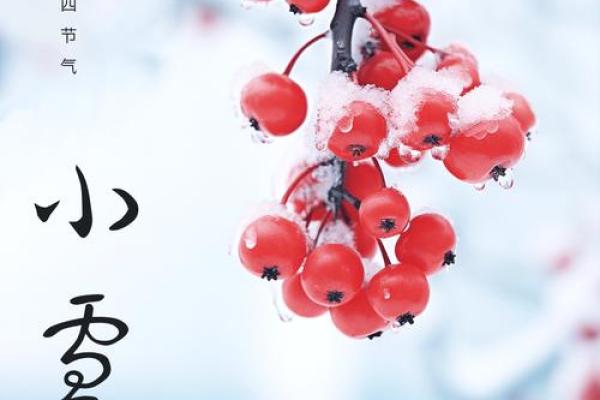小雪民俗活动 小雪的名字有什么意义