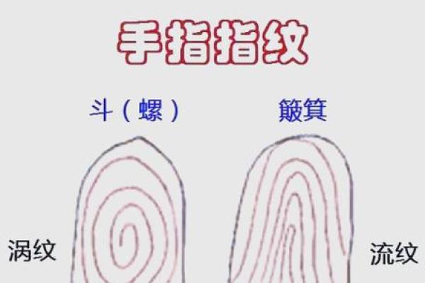 《手相学习百科》：指尖与指节