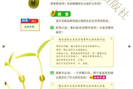 “茁壮成长，茎叶交辉，绿意盎然——草本植物百科全书”