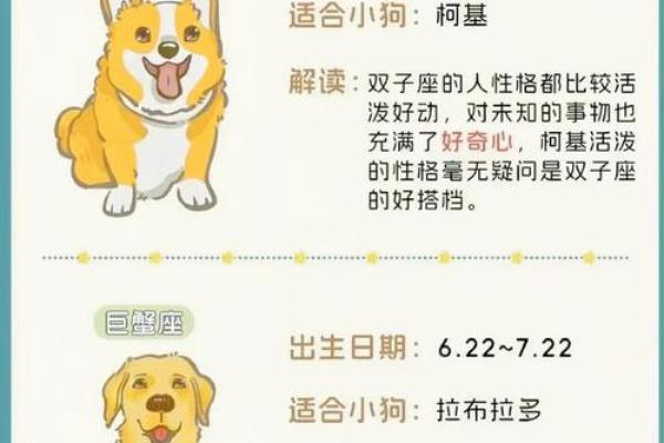 狗年运势旺到爆的星座