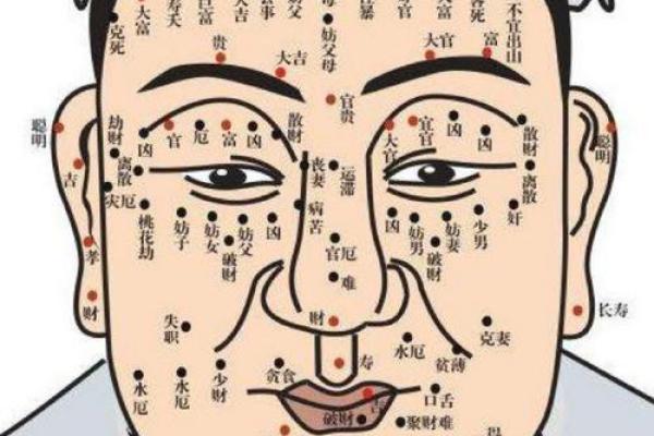 八字眉的女人命好不好风水解读