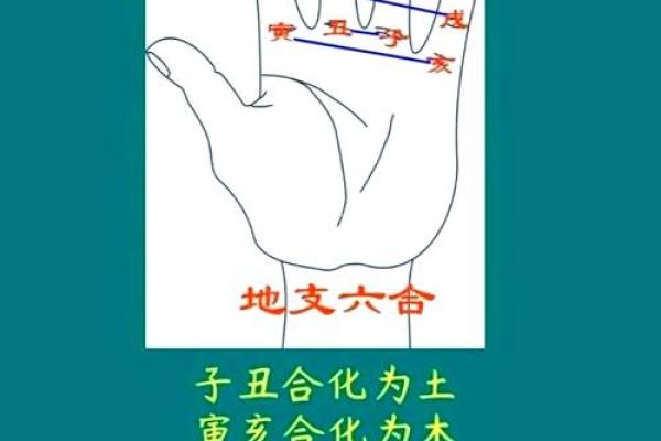 八字动星