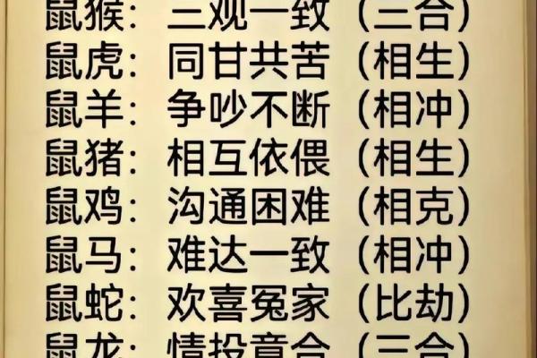 1996年属什么生肖配对