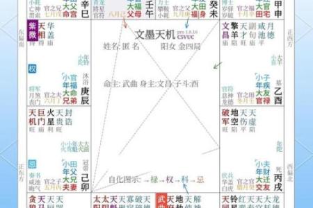 紫薇斗数测桃花