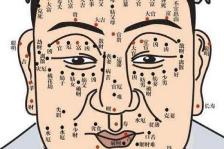 八字眉的女人命好不好风水解读