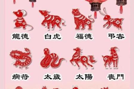 睡出好运气，12生肖的旺运卧室在家里的哪个方位？