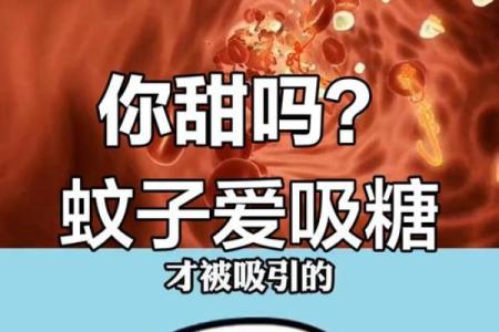 蚊子不喜欢什么血型 蚊子厌恶哪种血型