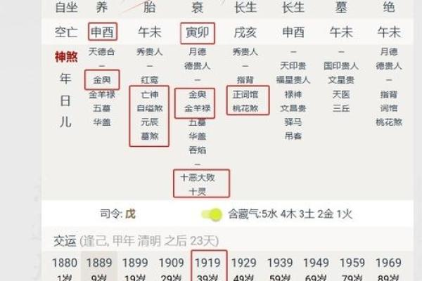 八字岁运