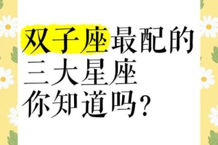 双子和天秤配对