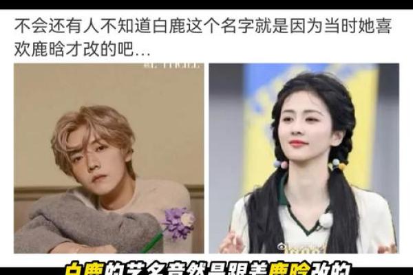 鹿晗姓名契合度配对 鹿晗的名字好听吗？
