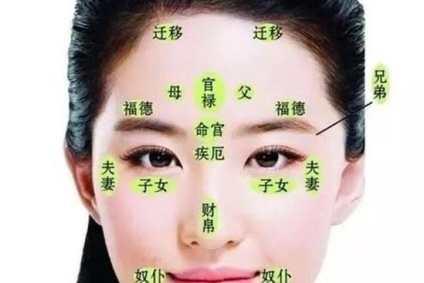 面相：眉形与命运，眉有断痕为什么不好？眉顺为好相，眉毛散乱多忧愁，八字眉个性随和
