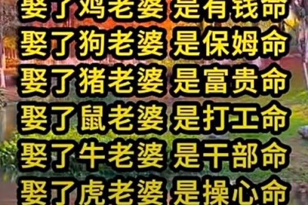 八字中异性星多，财源广进，前程似锦