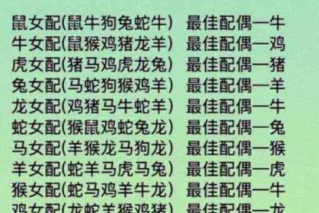 属相配对表
