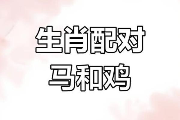 属鸡双子座与属猪处女座配对如何 属鸡双子座与属猪处女座配对如何