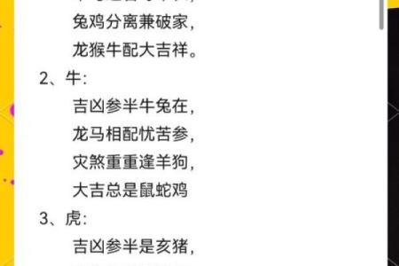 狗的属相配对婚配表