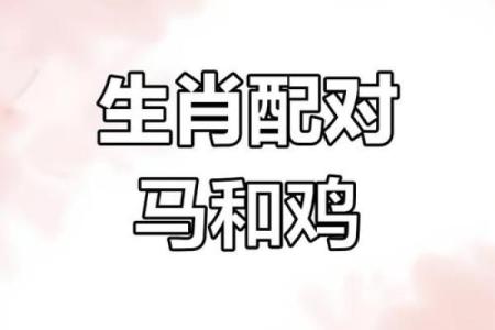 属鸡双子座与属猪处女座配对如何