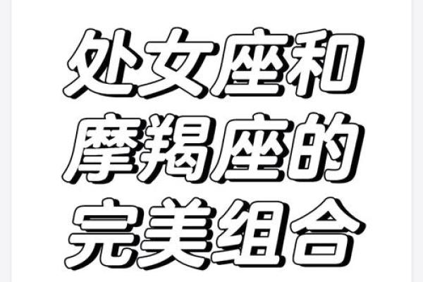 摩羯座和处女座配对指数 摩羯座和处女座配对指数高吗 摩羯座和处女座配对指数 摩羯座和处女座配对指数高吗