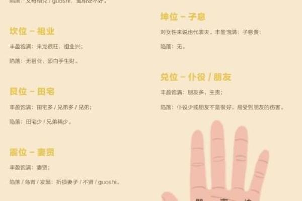 指纹算命 十指指纹算命查询 指纹算命 十指指纹算命查询