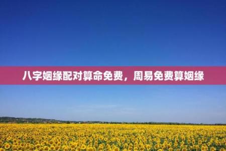 三藏姓名配对查询 三藏姓名配对算命网?