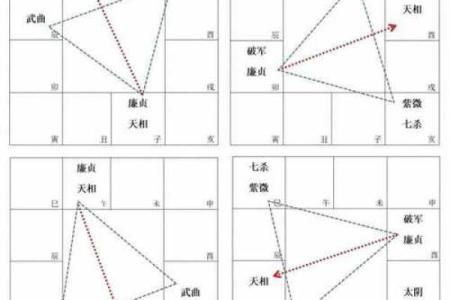 廉贞星什么星座