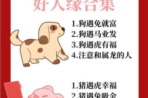 揭秘肖鼠女的属相配对 揭秘肖鼠女的属相配对