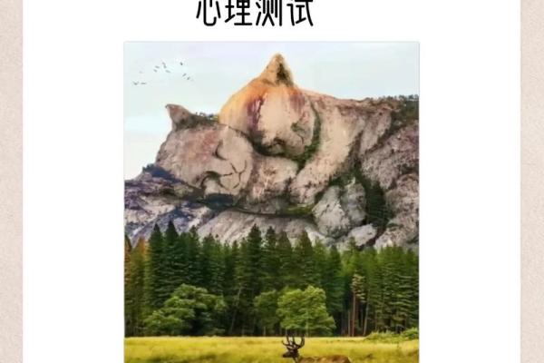 心理测试:选择一个果盘,测测你命中避不开的事情是什么 心理测试:选择一个果盘,测测你命中避不开的事情是什么