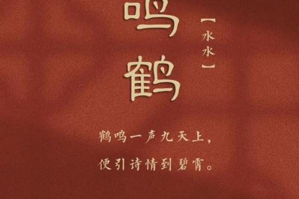 白鹤鸣八字 白鹤鸣八字