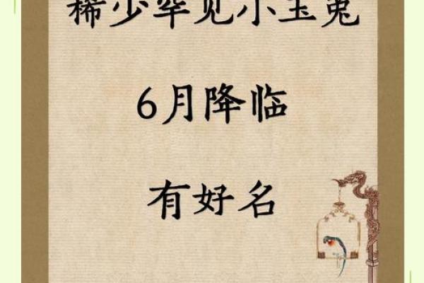兔宝宝生辰八字