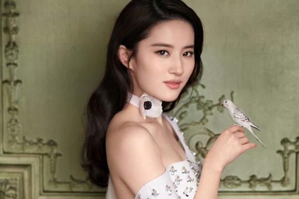 女明星八字 女明星八字