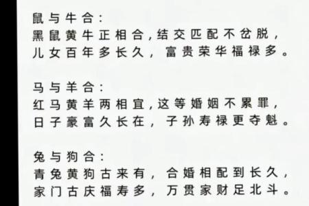 属鸡人属相姻缘配对