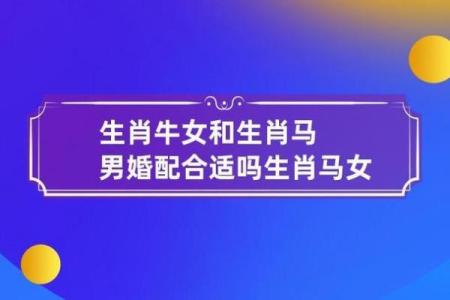 马男生配对姻缘