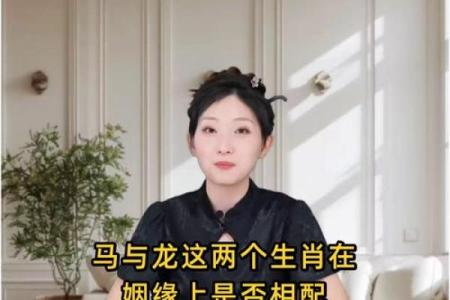 生肖马的姻缘配对,哪些生肖最合适?