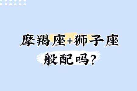 摩羯的对手是哪个星座