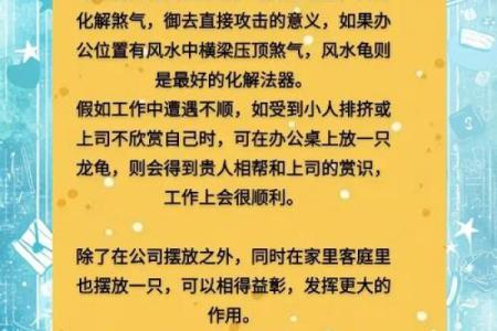 风水的方位_乌龟代表哪个方向